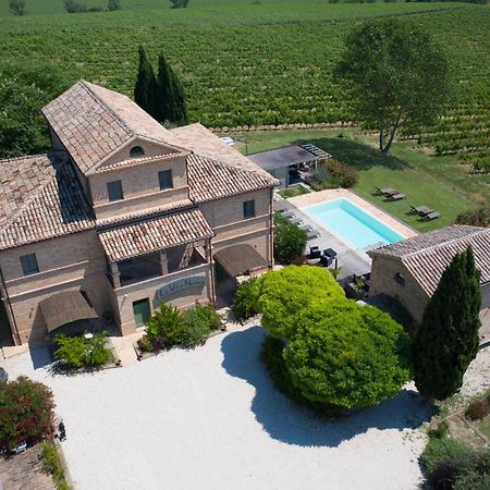 La Vita Nuova Appartements - Appart B&B Morro dʼAlba エクステリア 写真